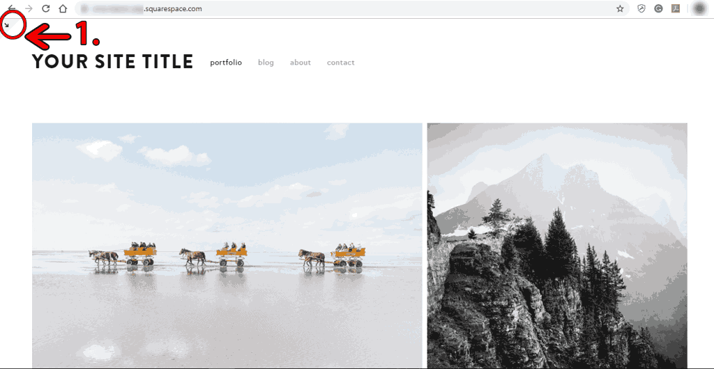 squarespace-website_11zon.png